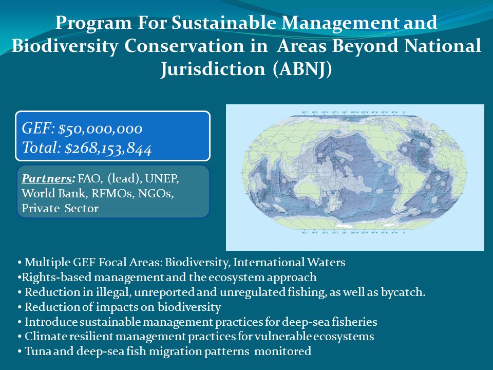 Partners: FAO, (lead), UNEP, World Bank, RFMOs, NGOs, Private Sector Program For Sustainable Management and Biodiversity Conservation in Areas Beyond National Jurisdiction (ABNJ) GEF: $50,000,000 Total: $268,153,844 Multiple GEF Focal Areas: Biodiversity, International Waters Rights-based management and the ecosystem approach Reduction in illegal, unreported and unregulated fishing, as well as bycatch.