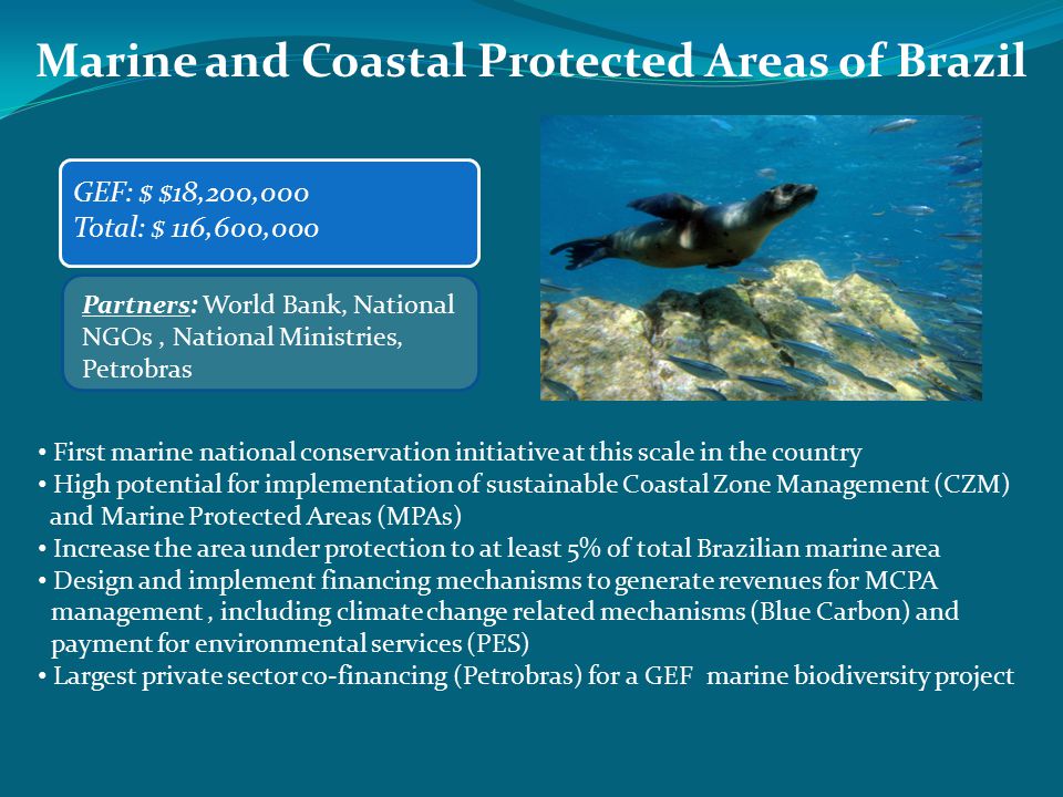 Marine and Coastal Protected Areas of Brazil GEF: $ $18,200,000 Total: $ 116,600,000 Partners: World Bank, National NGOs, National Ministries, Petrobras First marine national conservation initiative at this scale in the country High potential for implementation of sustainable Coastal Zone Management (CZM) and Marine Protected Areas (MPAs) Increase the area under protection to at least 5% of total Brazilian marine area Design and implement financing mechanisms to generate revenues for MCPA management, including climate change related mechanisms (Blue Carbon) and payment for environmental services (PES) Largest private sector co-financing (Petrobras) for a GEF marine biodiversity project