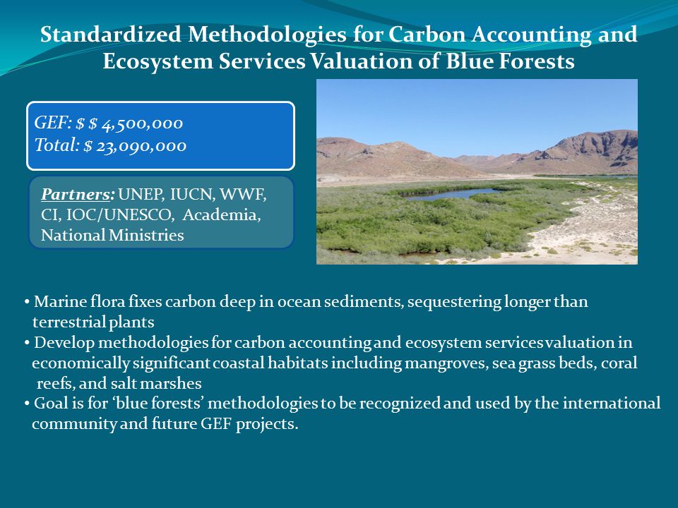 Standardized Methodologies for Carbon Accounting and Ecosystem Services Valuation of Blue Forests GEF: $ $ 4,500,000 Total: $ 23,090,000 Partners: UNEP, IUCN, WWF, CI, IOC/UNESCO, Academia, National Ministries Marine flora fixes carbon deep in ocean sediments, sequestering longer than terrestrial plants Develop methodologies for carbon accounting and ecosystem services valuation in economically significant coastal habitats including mangroves, sea grass beds, coral reefs, and salt marshes Goal is for ‘blue forests’ methodologies to be recognized and used by the international community and future GEF projects.