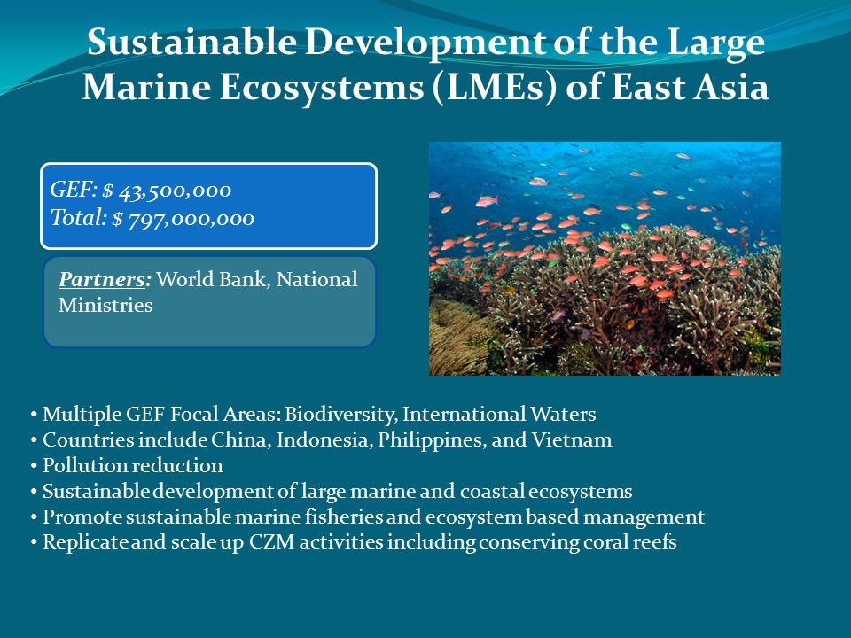 Sustainable Development of the Large Marine Ecosystems (LMEs) of East Asia GEF: $ 43,500,000 Total: $ 797,000,000 Partners: World Bank, National Ministries Multiple GEF Focal Areas: Biodiversity, International Waters Countries include China, Indonesia, Philippines, and Vietnam Pollution reduction Sustainable development of large marine and coastal ecosystems Promote sustainable marine fisheries and ecosystem based management Replicate and scale up CZM activities including conserving coral reefs