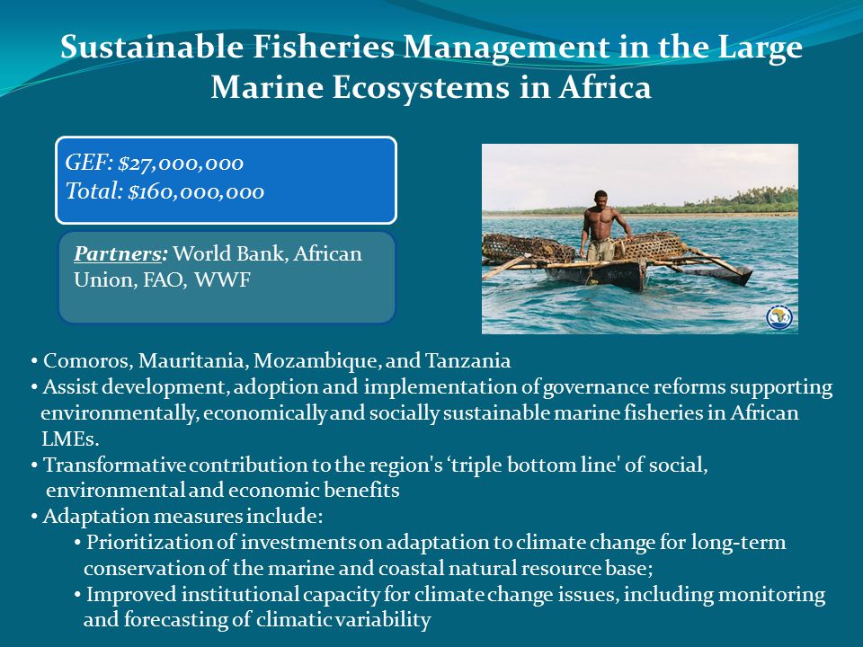 Sustainable Fisheries Management in the Large Marine Ecosystems in Africa GEF: $27,000,000 Total: $160,000,000 Partners: World Bank, African Union, FAO, WWF Comoros, Mauritania, Mozambique, and Tanzania Assist development, adoption and implementation of governance reforms supporting environmentally, economically and socially sustainable marine fisheries in African LMEs.