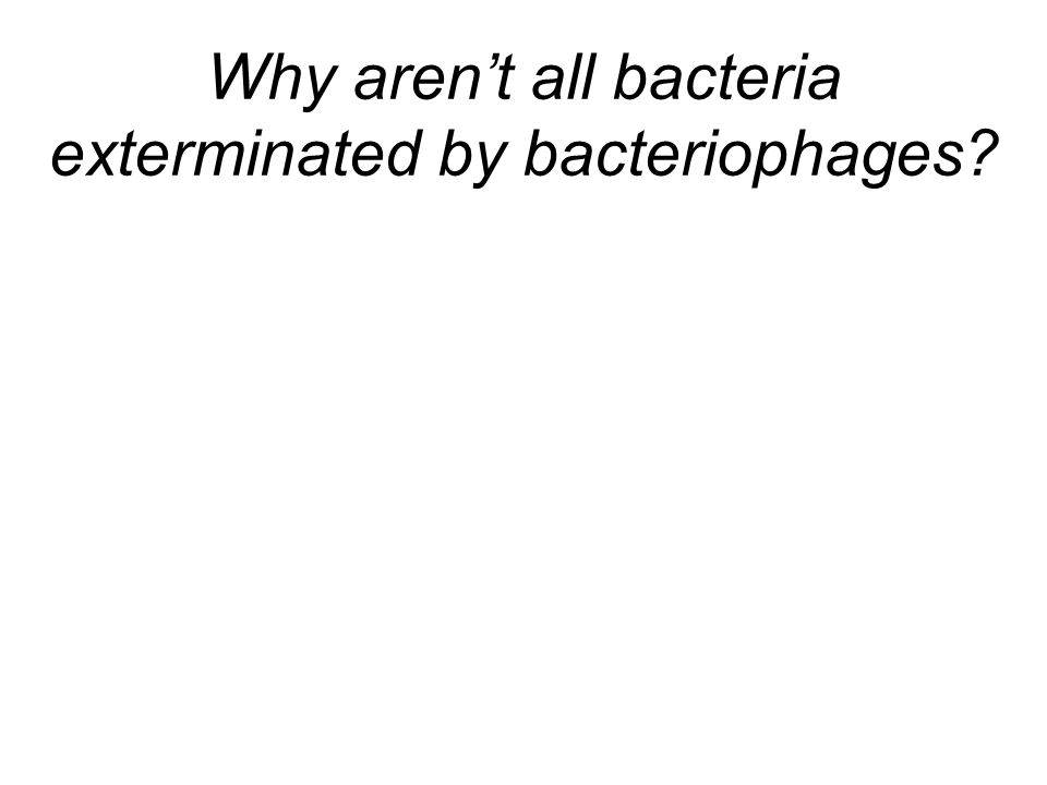 Why aren’t all bacteria exterminated by bacteriophages