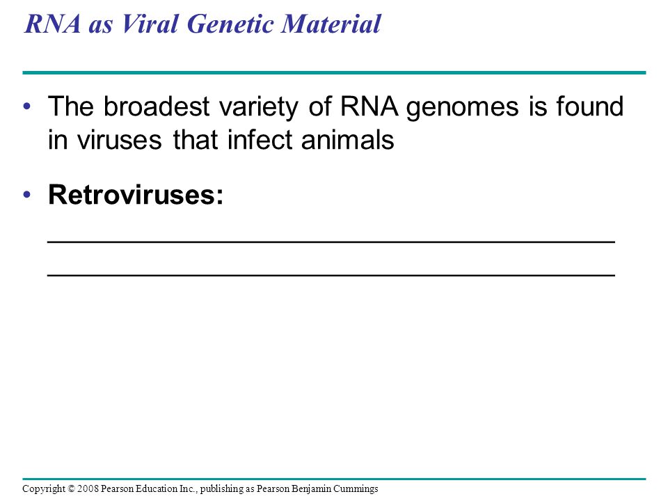 Copyright © 2008 Pearson Education Inc., publishing as Pearson Benjamin Cummings RNA as Viral Genetic Material The broadest variety of RNA genomes is found in viruses that infect animals Retroviruses: _____________________________________ _____________________________________