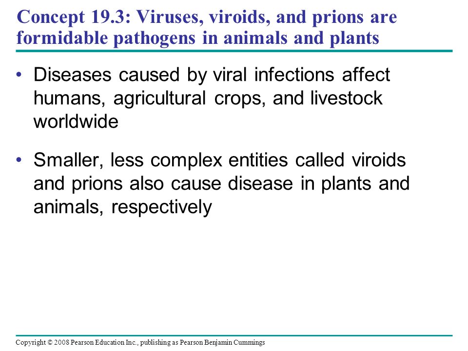 Copyright © 2008 Pearson Education Inc., publishing as Pearson Benjamin Cummings Concept 19.3: Viruses, viroids, and prions are formidable pathogens in animals and plants Diseases caused by viral infections affect humans, agricultural crops, and livestock worldwide Smaller, less complex entities called viroids and prions also cause disease in plants and animals, respectively