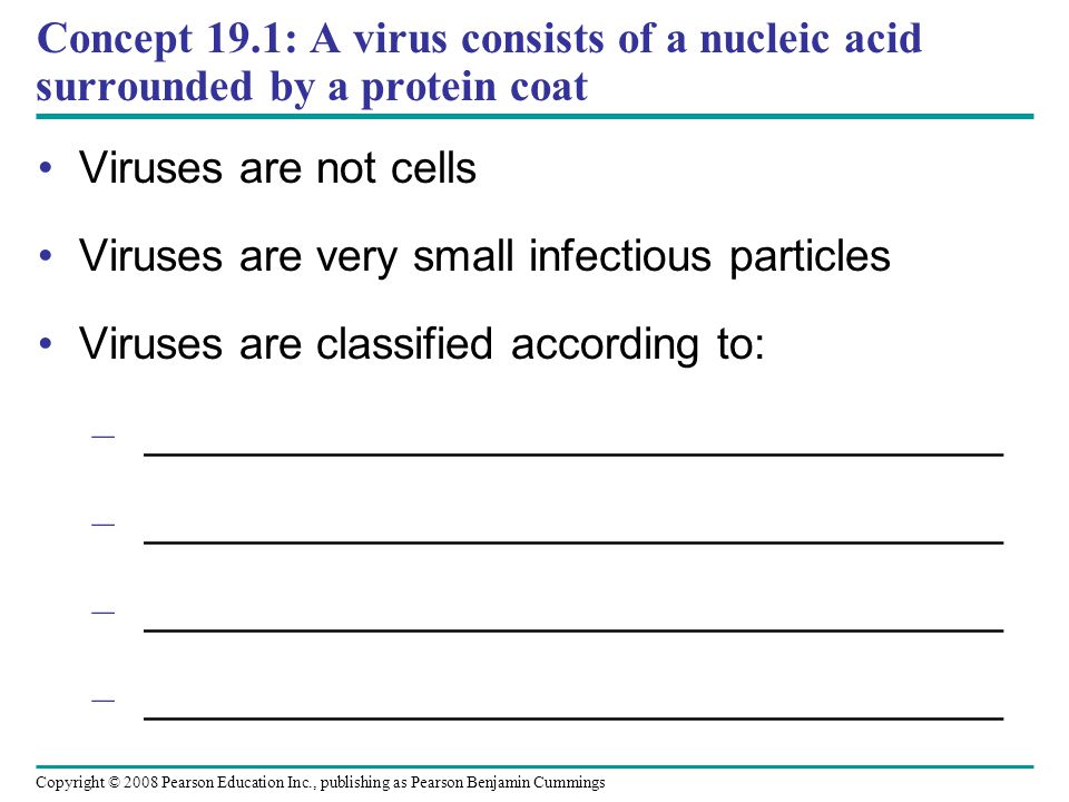 Copyright © 2008 Pearson Education Inc., publishing as Pearson Benjamin Cummings Concept 19.1: A virus consists of a nucleic acid surrounded by a protein coat Viruses are not cells Viruses are very small infectious particles Viruses are classified according to: – ___________________________________