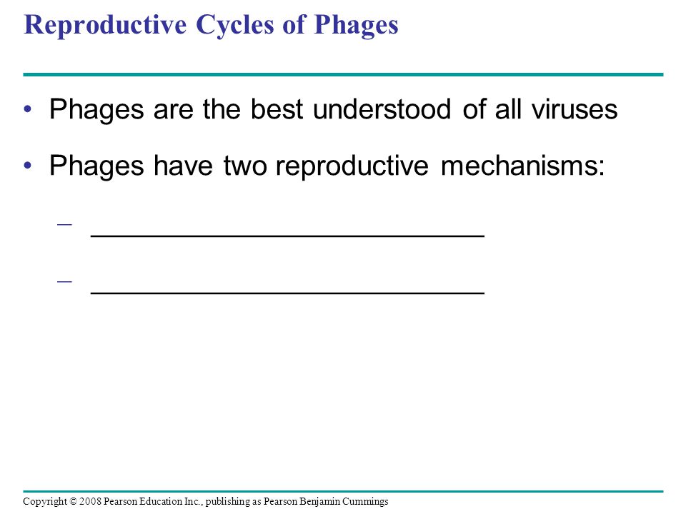 Copyright © 2008 Pearson Education Inc., publishing as Pearson Benjamin Cummings Reproductive Cycles of Phages Phages are the best understood of all viruses Phages have two reproductive mechanisms: – _________________________
