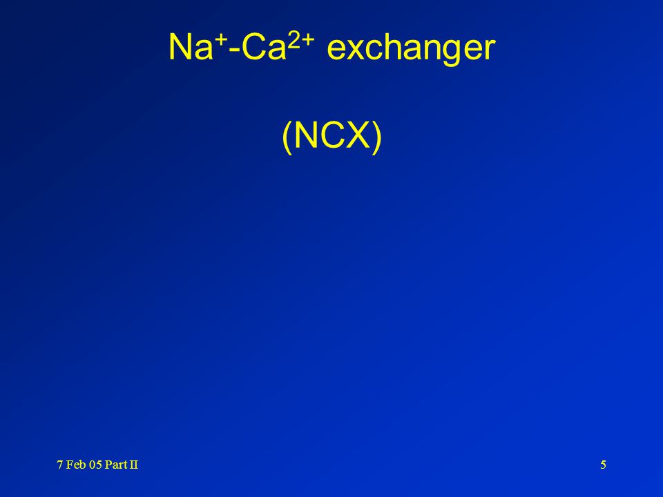 7 Feb 05 Part II5 Na + -Ca 2+ exchanger (NCX)