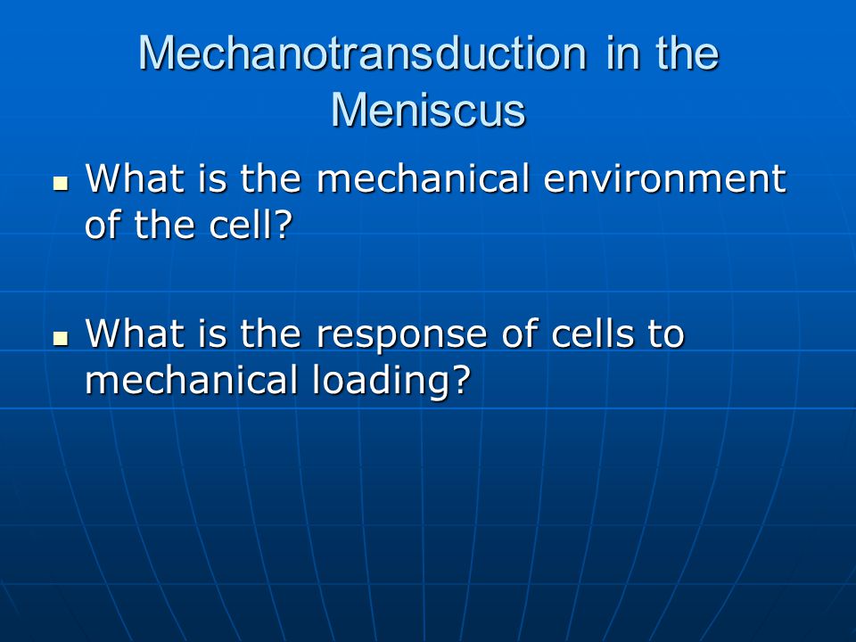 Mechanotransduction in the Meniscus What is the mechanical environment of the cell.