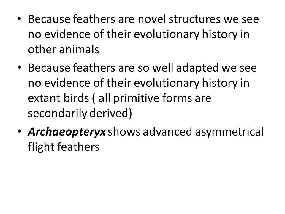 Because feathers are novel structures we see no evidence of their evolutionary history in other animals Because feathers are so well adapted we see no evidence of their evolutionary history in extant birds ( all primitive forms are secondarily derived) Archaeopteryx shows advanced asymmetrical flight feathers