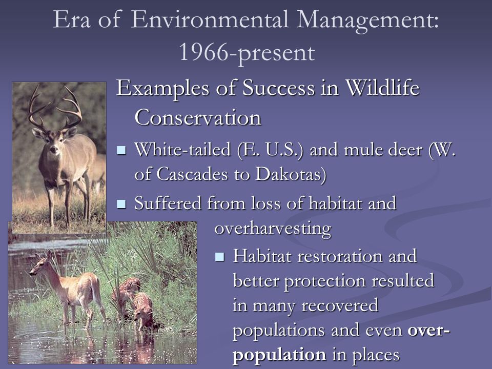 What is Wildlife Science? ECOLOGY CONSERVATION BIOLOGY WILDLIFE MANAGEMENT  Threatened & Endangered species Reserve Design RestorationHabitat  Population. - ppt download