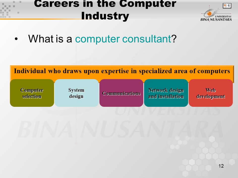 12 Careers in the Computer Industry What is a computer consultant.