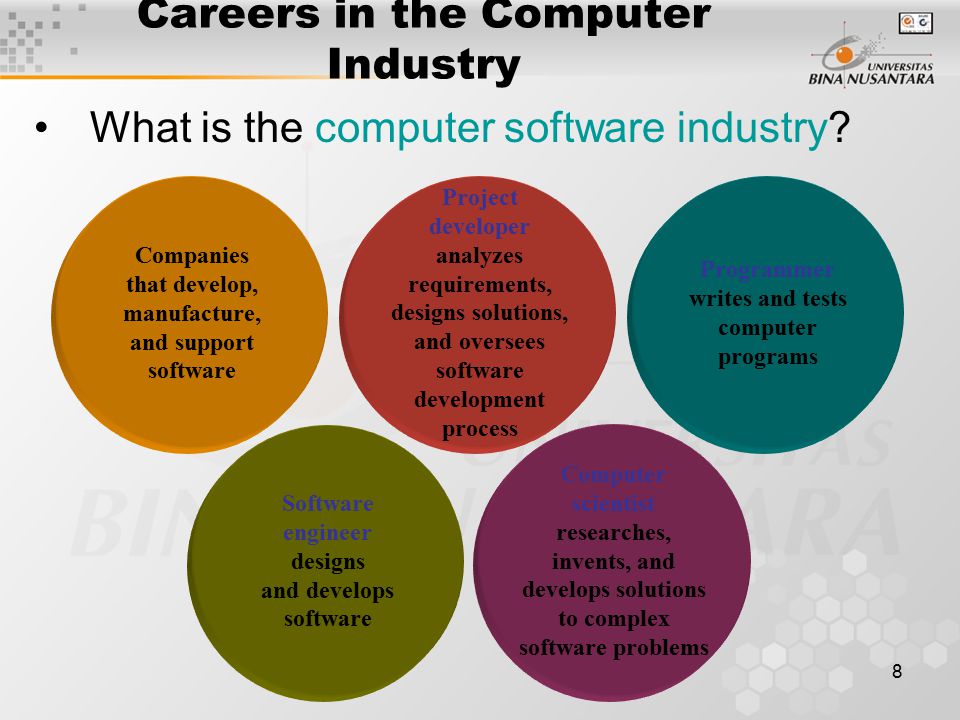 8 Careers in the Computer Industry What is the computer software industry.