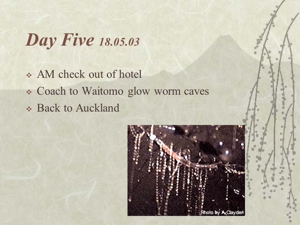 Day Five  AM check out of hotel  Coach to Waitomo glow worm caves  Back to Auckland