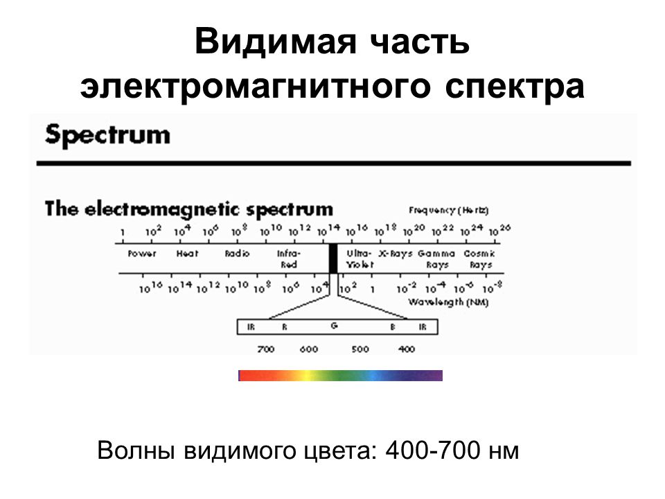 Видимая часть электромагнитного спектра. Видимый диапазон электромагнитного спектра. Диапазон видимой части спектра. Диапазоны электромагнитного спектра. Электромагнитный диапазон.
