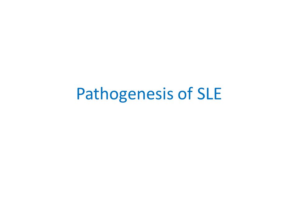 Pathogenesis of SLE