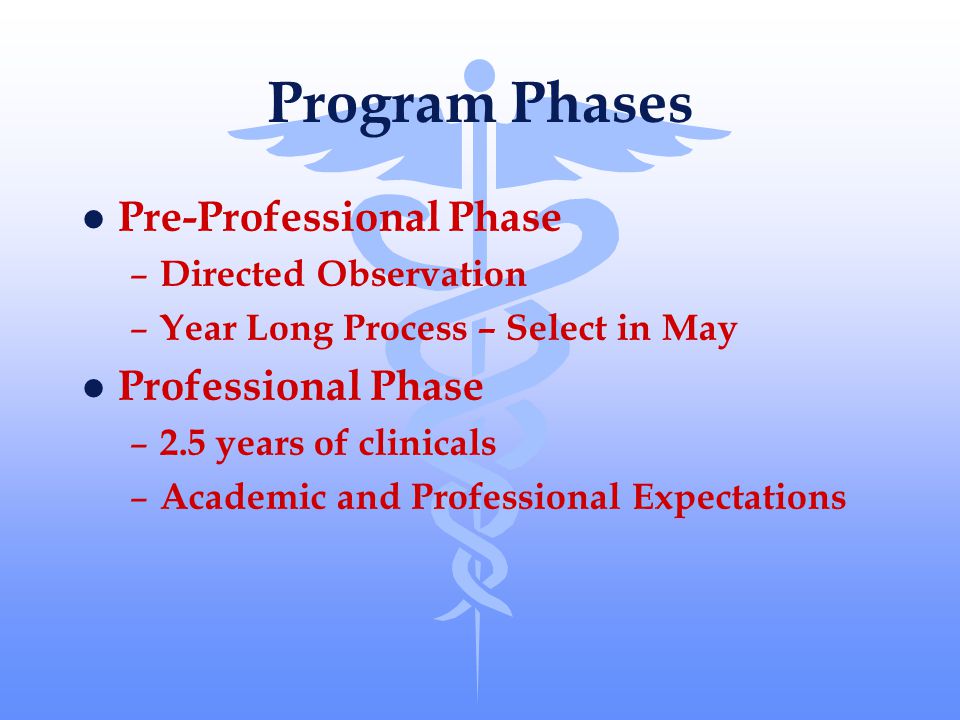 Program Phases l Pre-Professional Phase – Directed Observation – Year Long Process – Select in May l Professional Phase – 2.5 years of clinicals – Academic and Professional Expectations