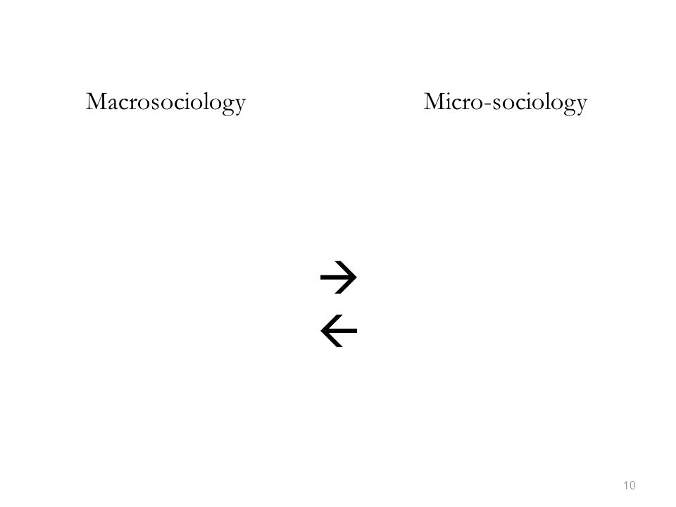 MacrosociologyMicro-sociology 10 