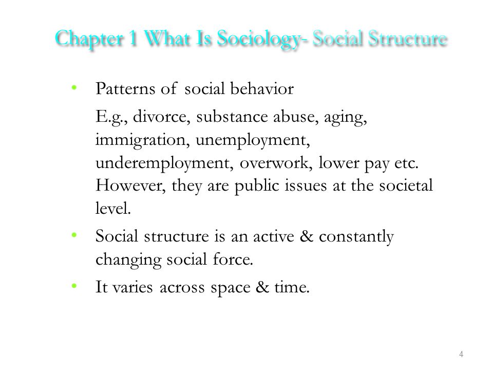 Patterns of social behavior E.g., divorce, substance abuse, aging, immigration, unemployment, underemployment, overwork, lower pay etc.