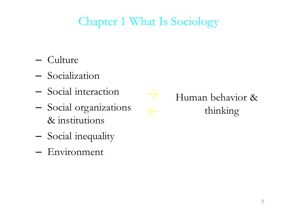 Chapter 1 What Is Sociology – Culture – Socialization – Social interaction – Social organizations & institutions – Social inequality – Environment Human behavior & thinking 6 Slide 6 