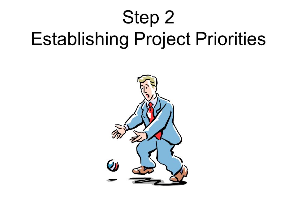 Step 2 Establishing Project Priorities