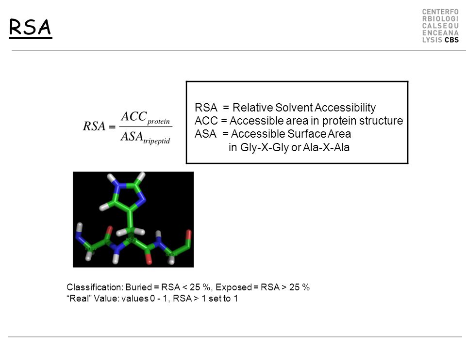 RSA RSA = Relative Solvent Accessibility ACC = Accessible area in protein structure ASA = Accessible Surface Area in Gly-X-Gly or Ala-X-Ala Classification: Buried = RSA 25 % Real Value: values 0 - 1, RSA > 1 set to 1