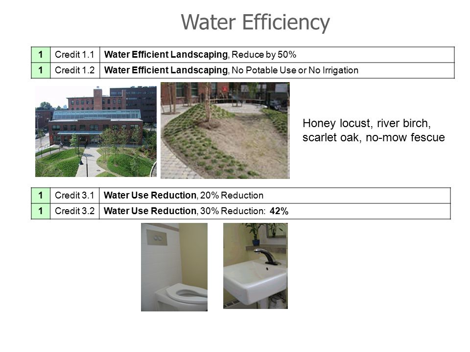 Water Efficiency 1Credit 1.1Water Efficient Landscaping, Reduce by 50% 1Credit 1.2Water Efficient Landscaping, No Potable Use or No Irrigation 1Credit 3.1Water Use Reduction, 20% Reduction 1Credit 3.2Water Use Reduction, 30% Reduction: 42% 46 Blackstone, LEED Platinum Honey locust, river birch, scarlet oak, no-mow fescue
