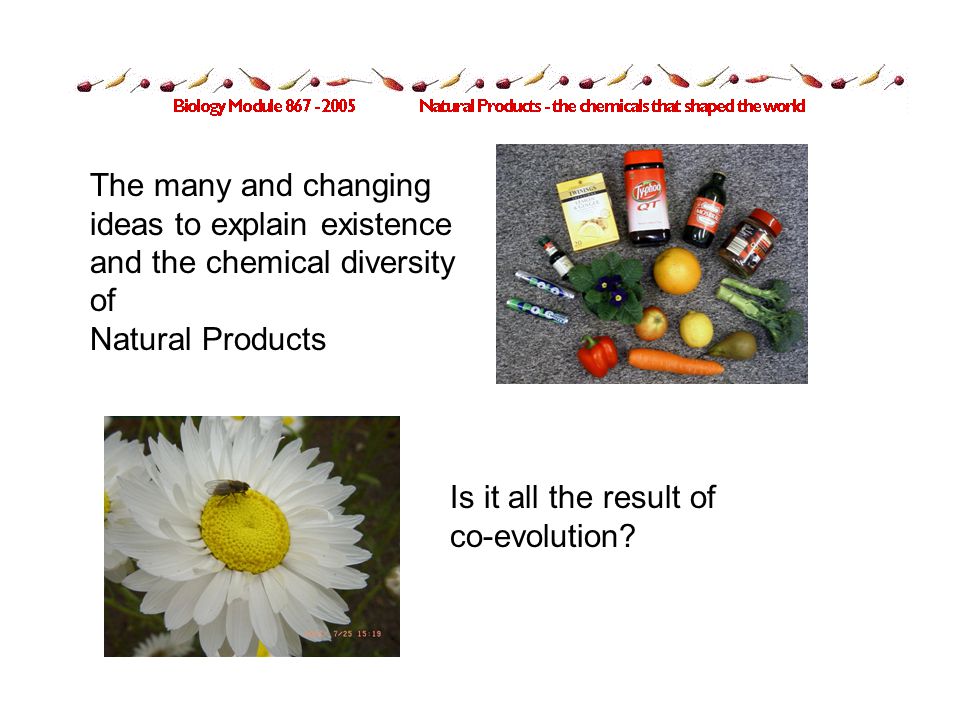 The many and changing ideas to explain existence and the chemical diversity of Natural Products Is it all the result of co-evolution