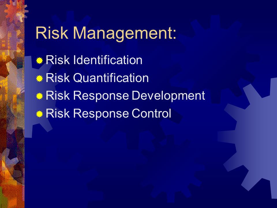 Risk Management:  Risk Identification  Risk Quantification  Risk Response Development  Risk Response Control