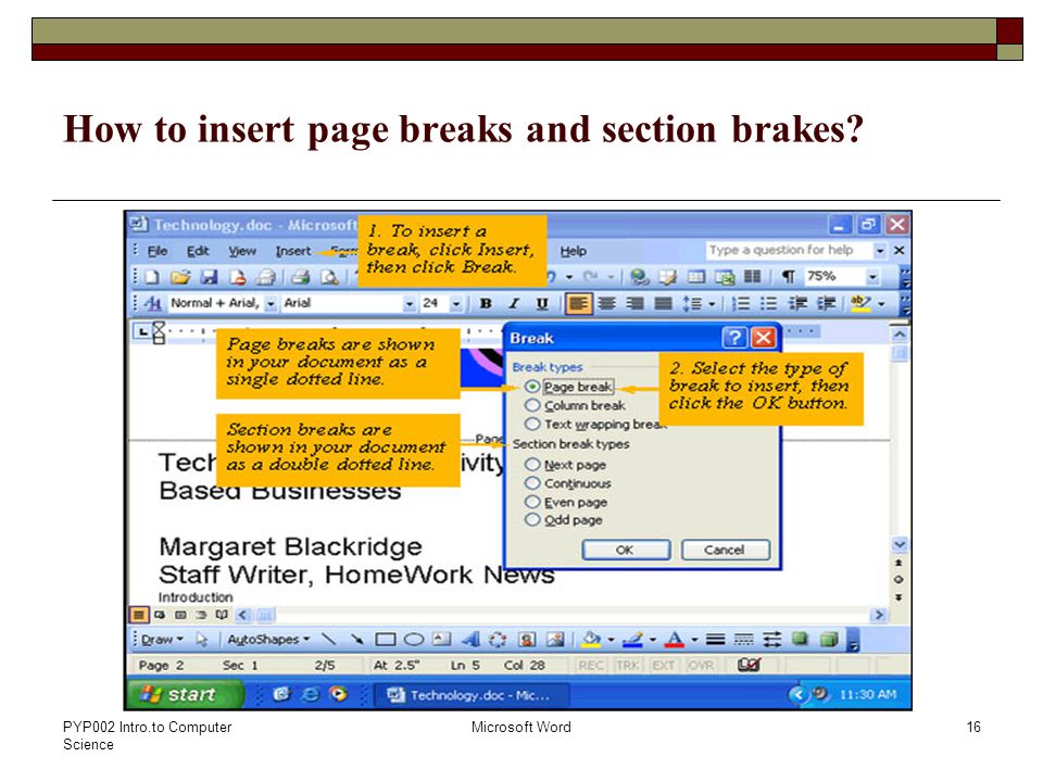 PYP002 Intro.to Computer Science Microsoft Word16 How to insert page breaks and section brakes
