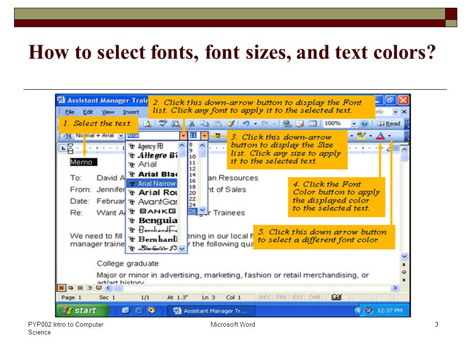 PYP002 Intro.to Computer Science Microsoft Word3 How to select fonts, font sizes, and text colors