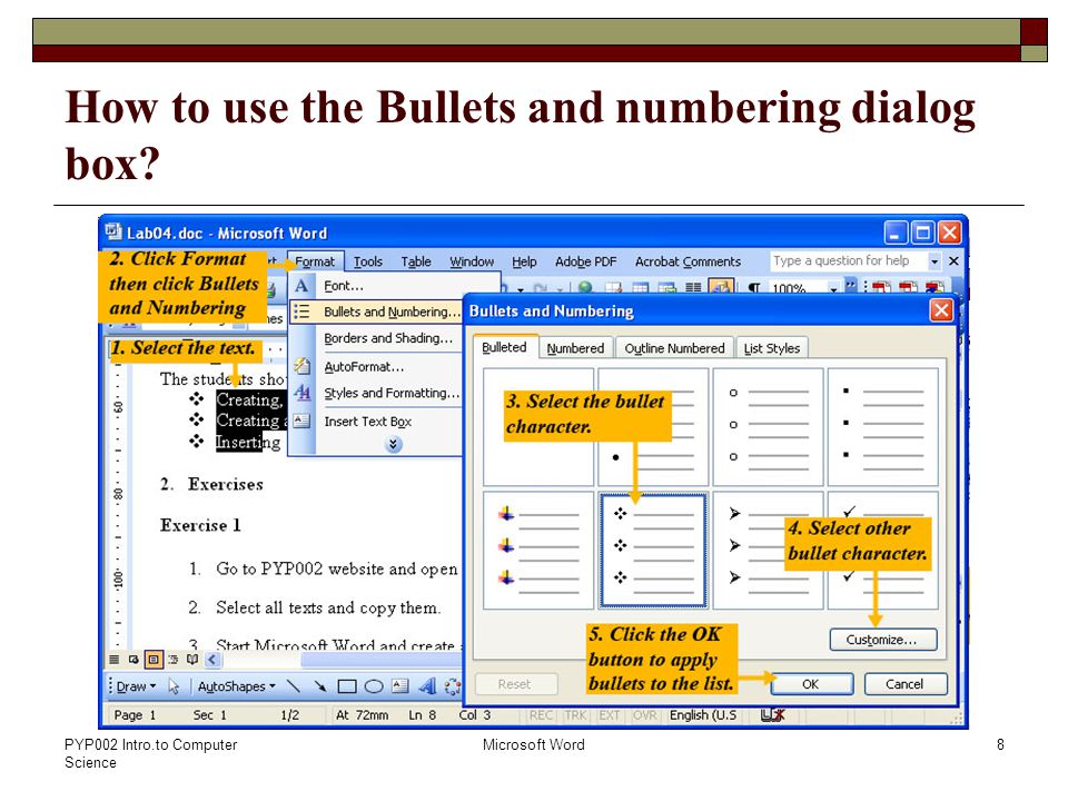 PYP002 Intro.to Computer Science Microsoft Word8 How to use the Bullets and numbering dialog box