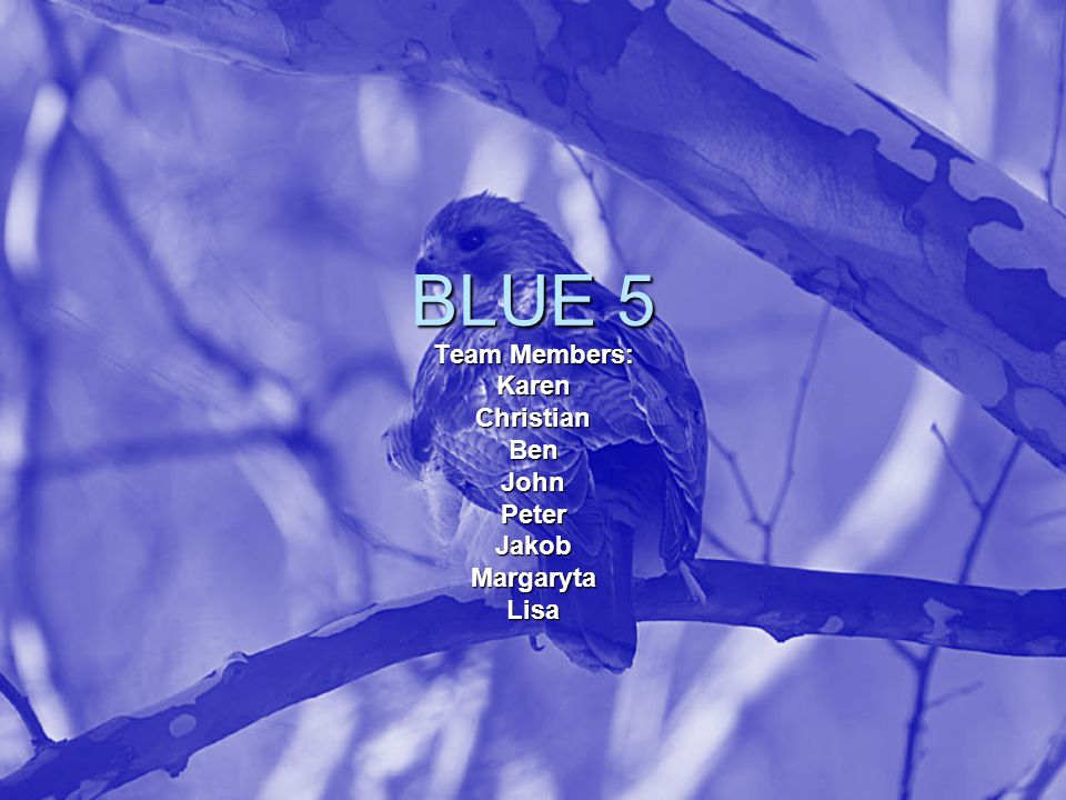 BLUE 5 Team Members: KarenChristianBenJohnPeterJakobMargarytaLisa
