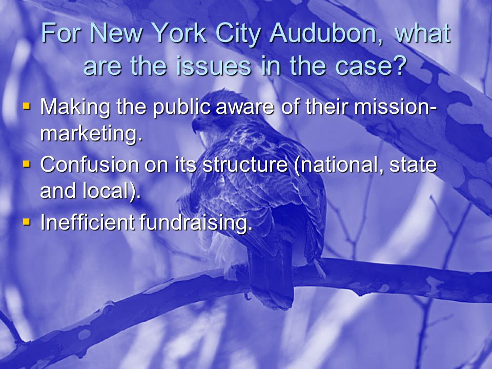 For New York City Audubon, what are the issues in the case.