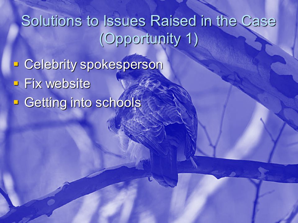 Solutions to Issues Raised in the Case (Opportunity 1)  Celebrity spokesperson  Fix website  Getting into schools