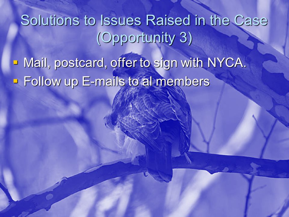 Solutions to Issues Raised in the Case (Opportunity 3)  Mail, postcard, offer to sign with NYCA.