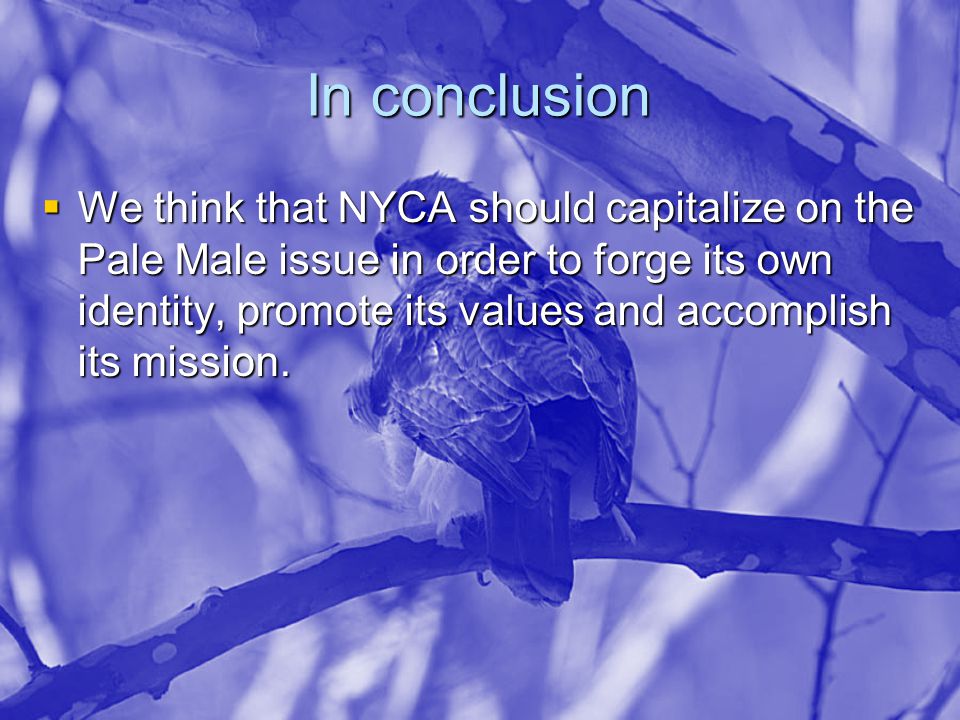 In conclusion  We think that NYCA should capitalize on the Pale Male issue in order to forge its own identity, promote its values and accomplish its mission.
