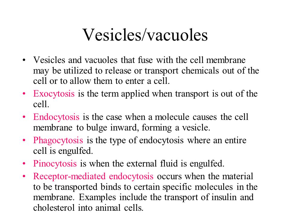 Vesicles/vacuoles Vesicles and vacuoles that fuse with the cell membrane may be utilized to release or transport chemicals out of the cell or to allow them to enter a cell.