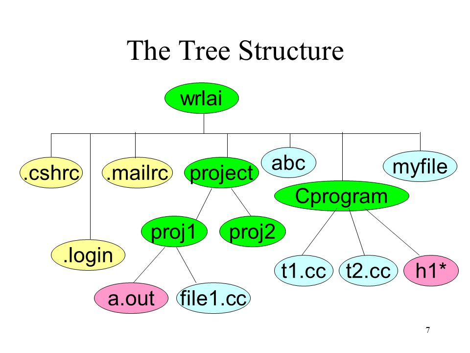 Дерево Unix подобных систем. Order the Letters to get one of the Parts of a hierarchical file System..