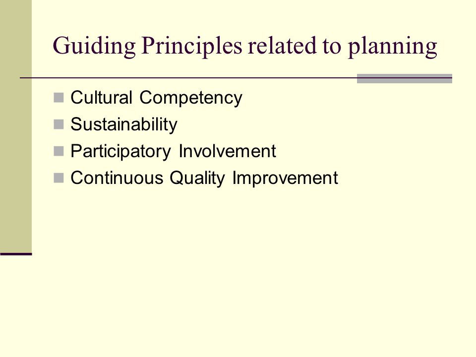 Guiding Principles related to planning Cultural Competency Sustainability Participatory Involvement Continuous Quality Improvement