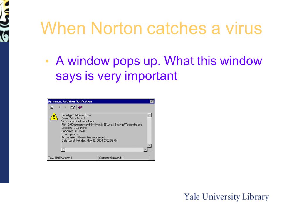 When Norton catches a virus A window pops up. What this window says is very important