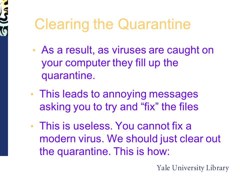 Clearing the Quarantine As a result, as viruses are caught on your computer they fill up the quarantine.