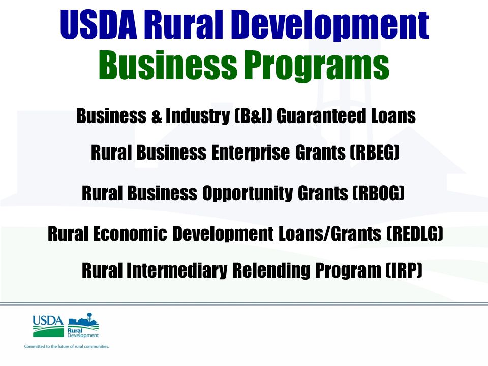USDA Rural Development Business Programs Business & Industry (B&I) Guaranteed Loans Rural Business Enterprise Grants (RBEG) Rural Business Opportunity Grants (RBOG) Rural Economic Development Loans/Grants (REDLG) Rural Intermediary Relending Program (IRP)