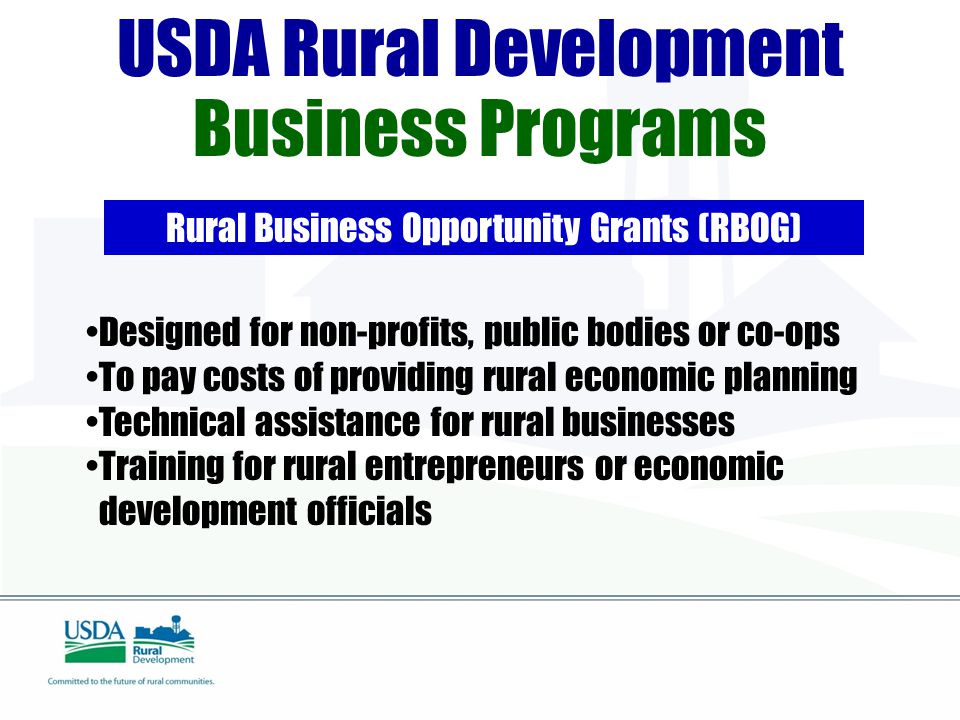 USDA Rural Development Business Programs Rural Business Opportunity Grants (RBOG) Designed for non-profits, public bodies or co-ops To pay costs of providing rural economic planning Technical assistance for rural businesses Training for rural entrepreneurs or economic development officials