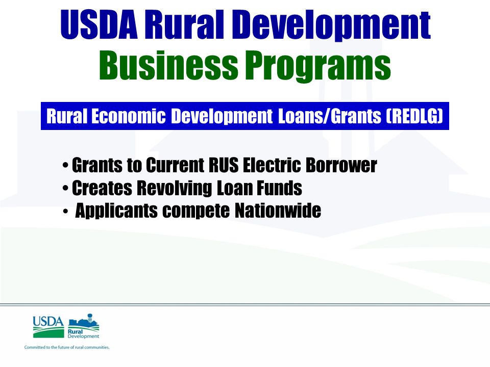 USDA Rural Development Business Programs Rural Economic Development Loans/Grants (REDLG) Grants to Current RUS Electric Borrower Creates Revolving Loan Funds Applicants compete Nationwide