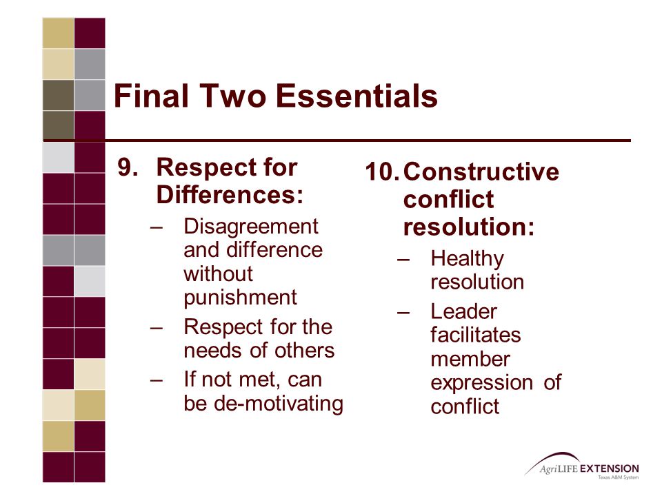 Final Two Essentials 9.Respect for Differences: –Disagreement and difference without punishment –Respect for the needs of others –If not met, can be de-motivating 10.Constructive conflict resolution: –Healthy resolution –Leader facilitates member expression of conflict