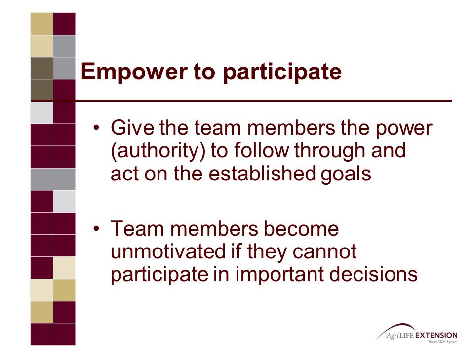 Empower to participate Give the team members the power (authority) to follow through and act on the established goals Team members become unmotivated if they cannot participate in important decisions