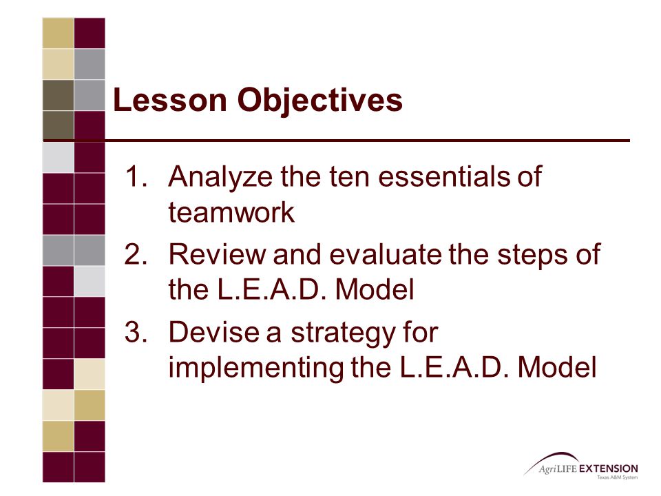 Lesson Objectives 1.Analyze the ten essentials of teamwork 2.Review and evaluate the steps of the L.E.A.D.