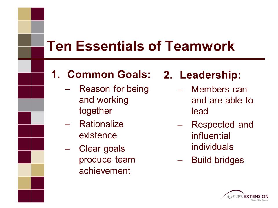 Ten Essentials of Teamwork 1.Common Goals: –Reason for being and working together –Rationalize existence –Clear goals produce team achievement 2.Leadership: –Members can and are able to lead –Respected and influential individuals –Build bridges