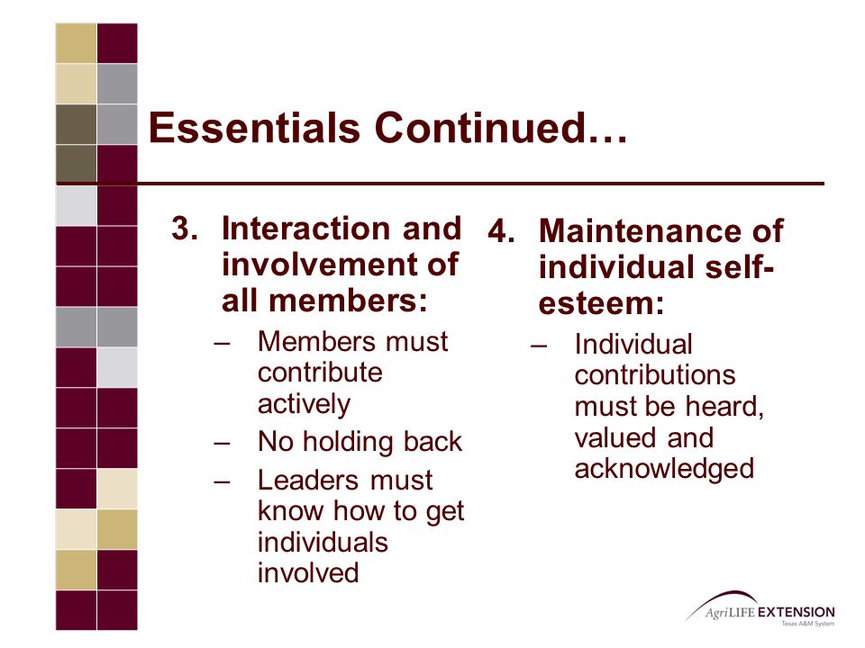 Essentials Continued… 3.Interaction and involvement of all members: –Members must contribute actively –No holding back –Leaders must know how to get individuals involved 4.Maintenance of individual self- esteem: –Individual contributions must be heard, valued and acknowledged