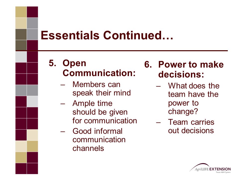 Essentials Continued… 5.Open Communication: –Members can speak their mind –Ample time should be given for communication –Good informal communication channels 6.Power to make decisions: –What does the team have the power to change.